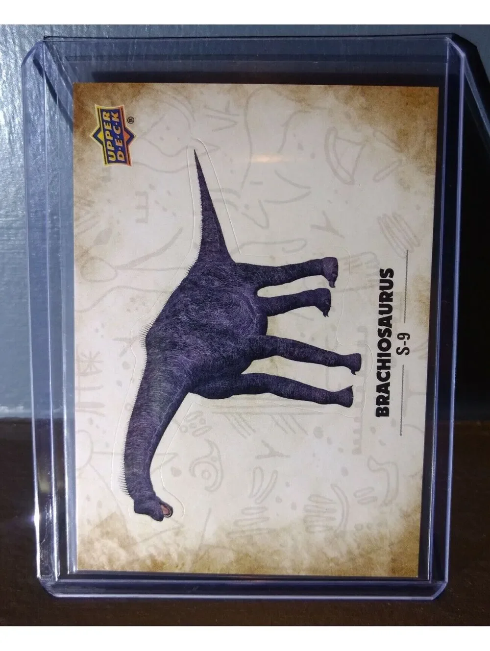 2015 Upper Deck Dinosaurs Brachiosaurus #S-9 Trading Sticker Card
